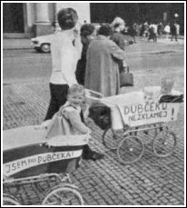 S Dub�ekem ...